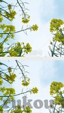 球探捷报足球比分-球探捷报，足球比分背后的数据洞察与战术革命